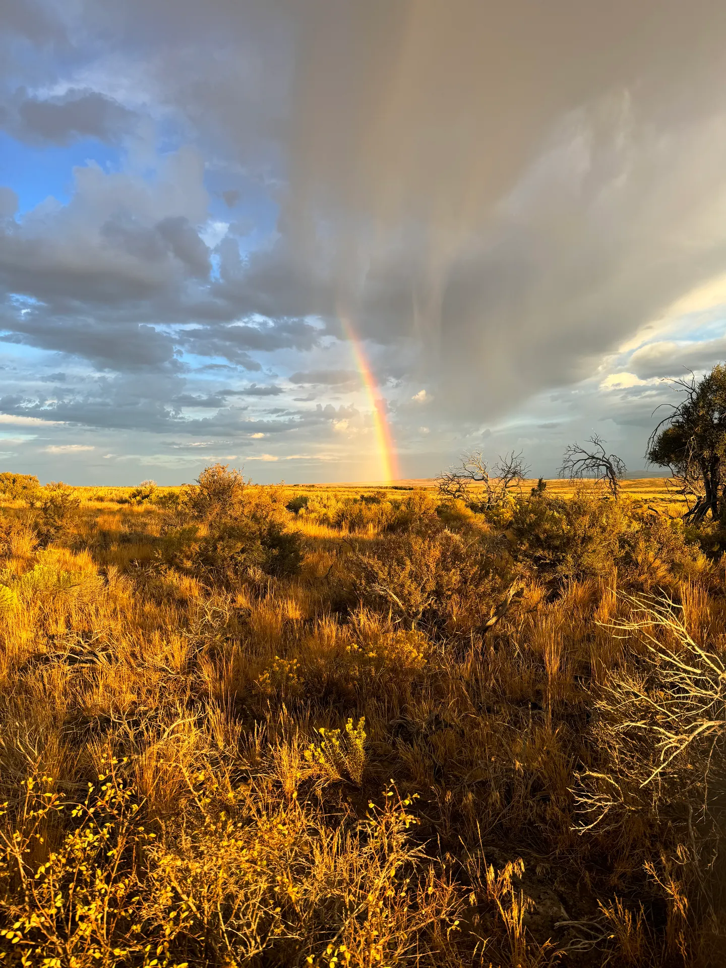 A rainbow over the Owyhee Mountains near Idaho's Treasure Valley